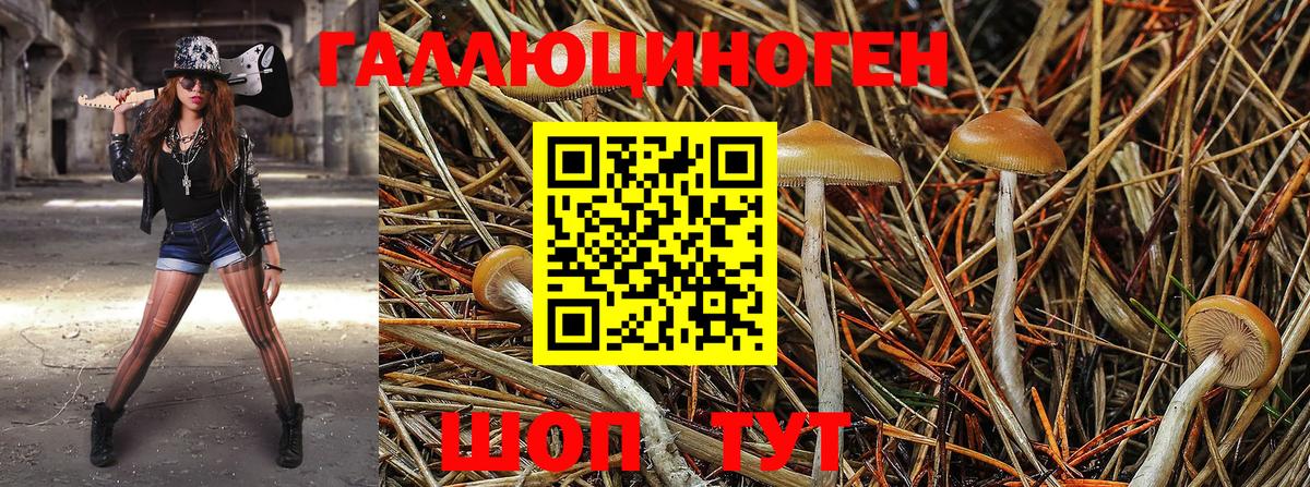 Псилоцибиновые грибы MAGIC MUSHROOMS  Вход с VPN  Усинск  Галлюциногенные грибы Cubensis 
