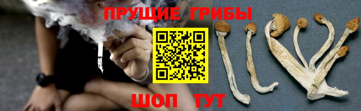 Псилоцибиновые грибы GOLDEN TEACHER Усинск